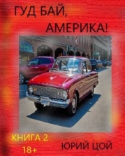 Гуд бай, Америка&#33; Книга 2 (СИ)