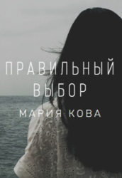 Правильный выбор (СИ)