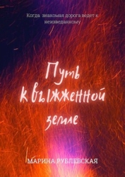 Путь к выжженной земле (СИ)