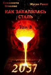 Как закалялась сталь - 2057. Том 3 (СИ)