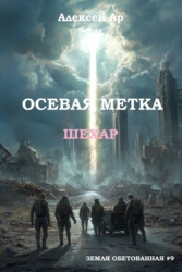 Осевая метка. Шехар (СИ)