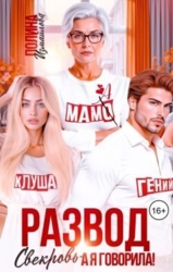 Развод. Свекровь - а я говорила! (СИ)