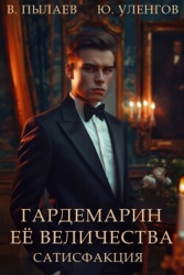 Сатисфакция (СИ)