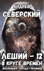 В круге времен (СИ)