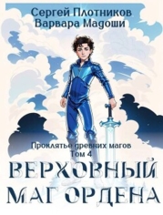 Верховный маг Ордена (СИ)