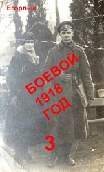 Боевой 1918 год-3 (СИ)